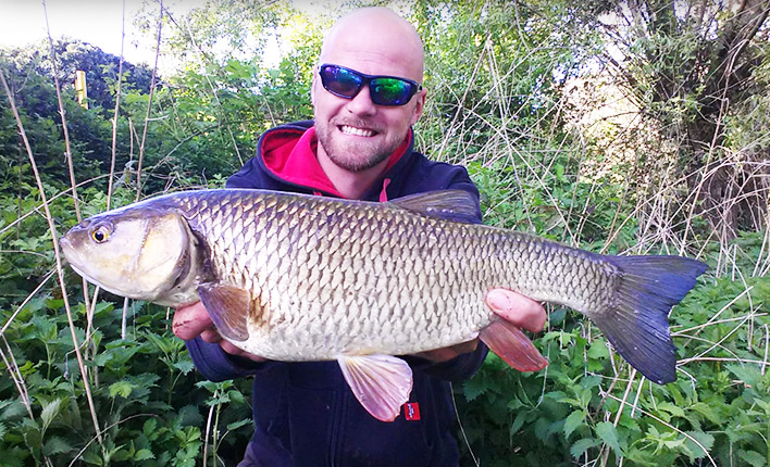 angeln-auf-döbel - Fischers Gold