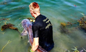 Tipps zum Wels Angeln für Einsteiger