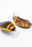 Imago Lures Great Diving Beetle Insekten Wobbler zum Angeln