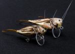 Imago Lures Hopper detailbild