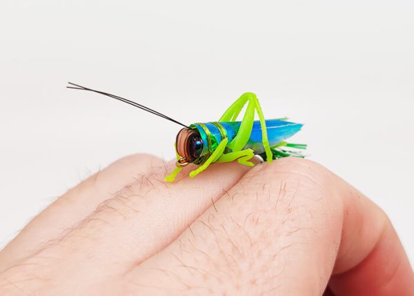 Yazhida Heuschrecken Angelköder Grün Detailbild