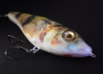 Detailbild 2 von Scar Bait Barsch