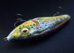 Scar Bait Forelle Jerkbait Detailbild 1