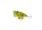 UL Mini Popper Farbe Frosch Grün