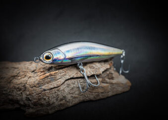 Angelköder Pencil Minnows Farbe 3