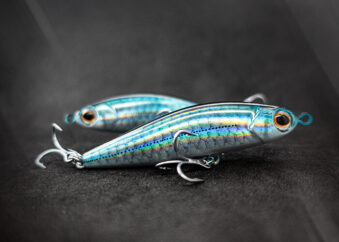 Rapfenköder Pencil Minnow Farbe 2