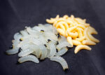 Bienenmade kaufen Forellenköder zum Forellenangeln