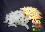 Bienenmade kaufen Forellenköder zum Forellenangeln