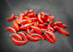 Bienenmade Forellenköder in Rot/Fleischig