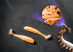 Forellenköder Orange/Weiß UV