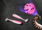 Gummifische Pink/Weiß UV