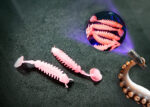 SWOLFY | Mikro Gummifische | Barsch | UV Aktiv | Geriffelt |  5,5cm | 1,3g | HID21-PN24-BO3T2 – Bild 7