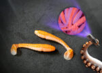 Mikro Gummiköder für Barsch in der Farbe Orange/Creme UV