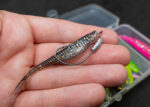 SeaSir | Geschenk für Angler | 12 Teile Angelset | 7cm Softbaits mit V-Schwanz | Barschbox inkl. 2 x Weighted Offset Haken | HID10-PN10-BO3 – Bild 6
