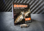 Spoon Forelle in der Farbe Silber Matt