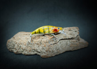 UL Wobbler Forellenköder Gold Barsch Holo