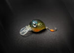 Fischers Gold | Bug Lure | UL Wobbler | Forellenköder | 1,7g | 2cm | (Unikate) | HID24-PN83-REG1 – Bild 12