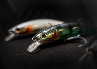 Twitchbait Wobbler Barschköder Detailbild 2