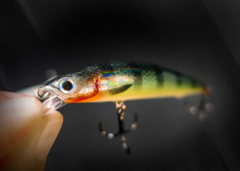 Twitchbait Wobbler Barschköder Detailbild 5