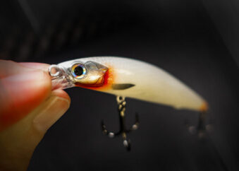 Twitchbait Wobbler Barschköder Detailbild 6