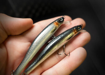 Wobbler Twitchbait Silber Natur