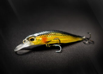 Wobbler Angelköder Weißfisch Gold Holo