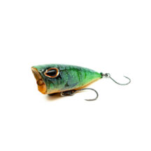 Handgestalteter Topwater popper Frosch Angelköder