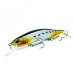 Barschwobbler in der Farbe Gold/Silber