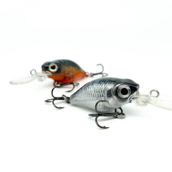 Crankbaits Unikate