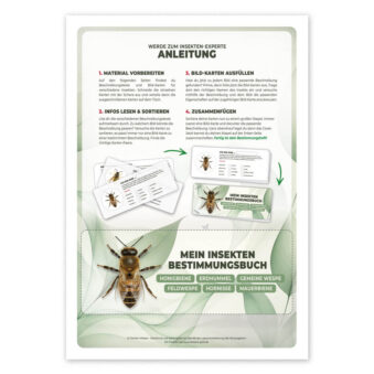 Insekten Bestimmen Anleitung