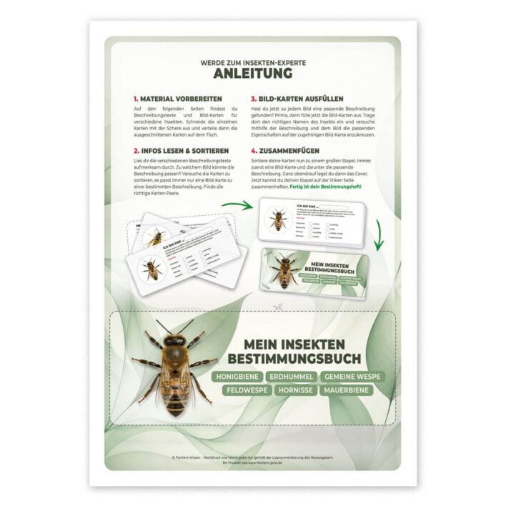 Insekten Bestimmen Anleitung