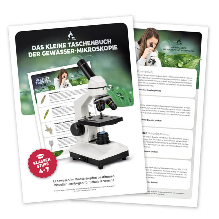 Das kleine Taschenbuch der Gewässer-Mikroskopie
