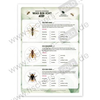 Einheimische Insekten bestimmen Arbeitsblatt.