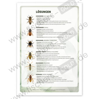 Einheimische Insekten bestimmen Arbeitsblatt Lösungen.